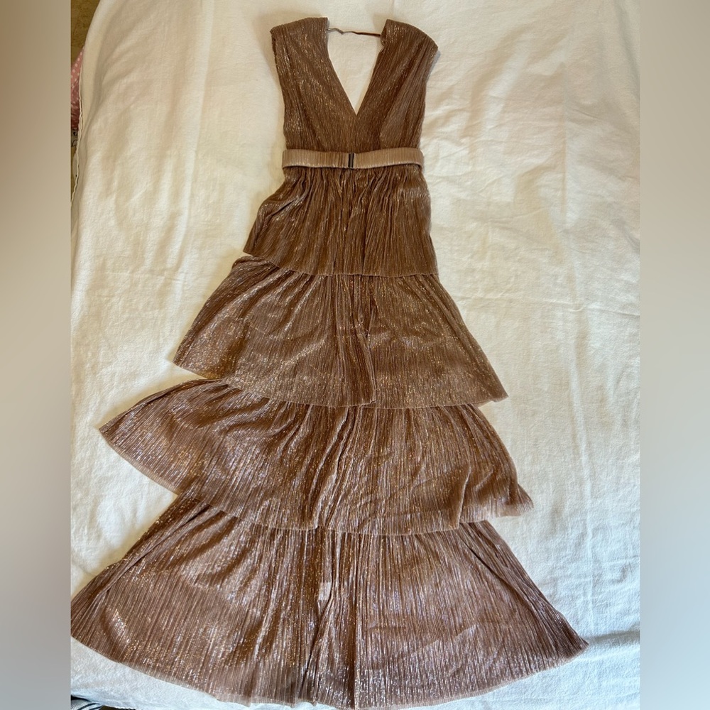 Sabina Musayev Women Skyler Plisse V Neck Ruffled long Max dress
